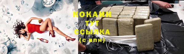 стаф Волосово