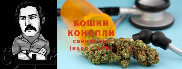 стаф Волосово