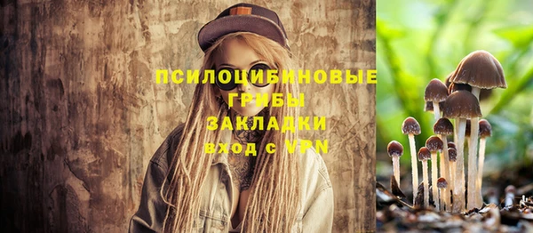 молекула духа Верея